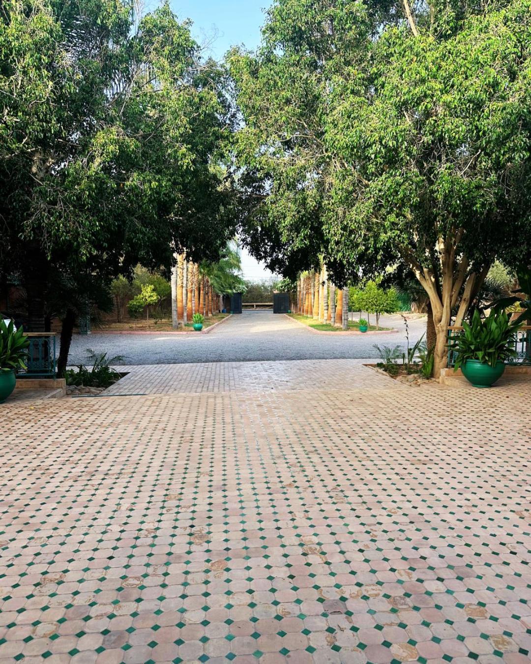 Palais Riad Berbere Marrakesh Exterior photo